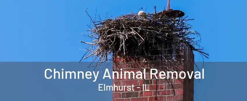 Chimney Animal Removal Elmhurst - IL