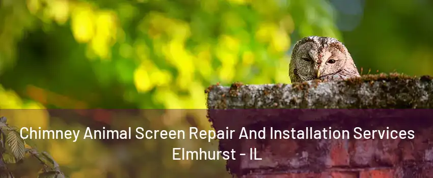 Chimney Animal Screen Repair And Installation Services Elmhurst - IL