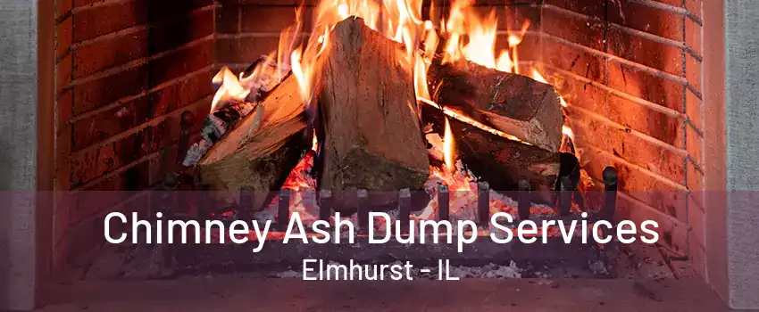 Chimney Ash Dump Services Elmhurst - IL