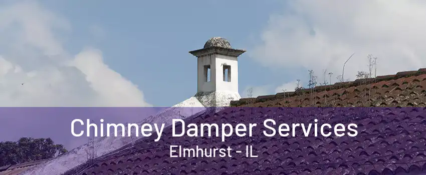 Chimney Damper Services Elmhurst - IL