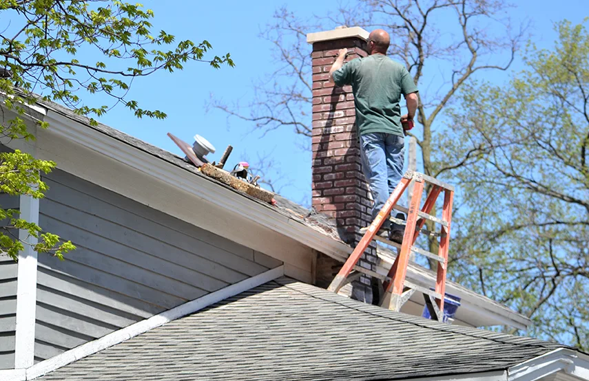 Chimney & Fireplace Inspections Services in Elmhurst