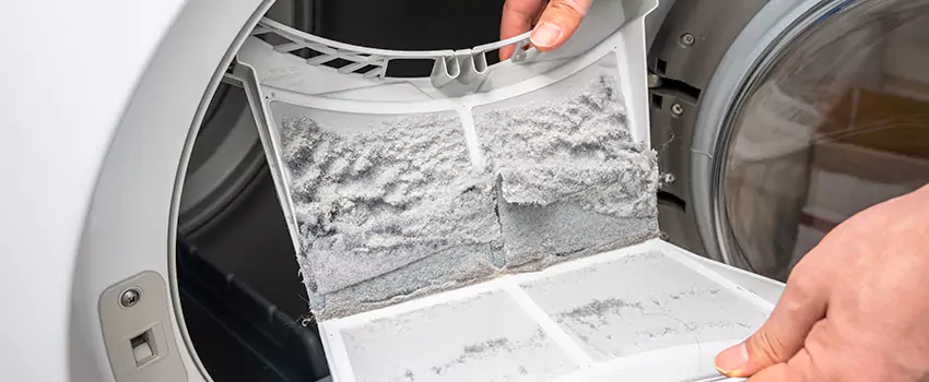 Best Dryer Lint Removal Company in Elmhurst, Illinois