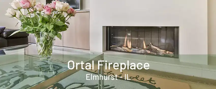 Ortal Fireplace Elmhurst - IL